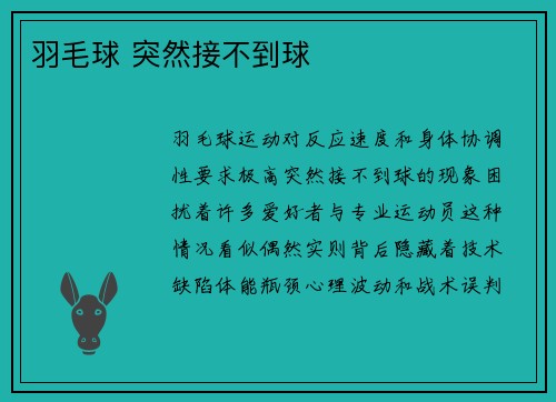 羽毛球 突然接不到球